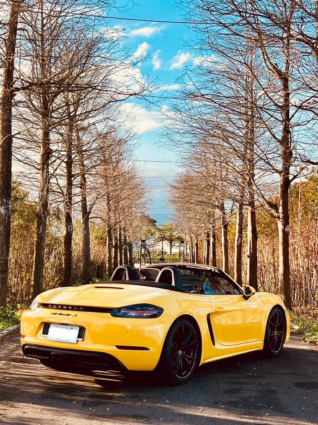 PORSCHE 718 boxster保時捷敞篷跑車+小改款賓士W222-S350L加長型 五台