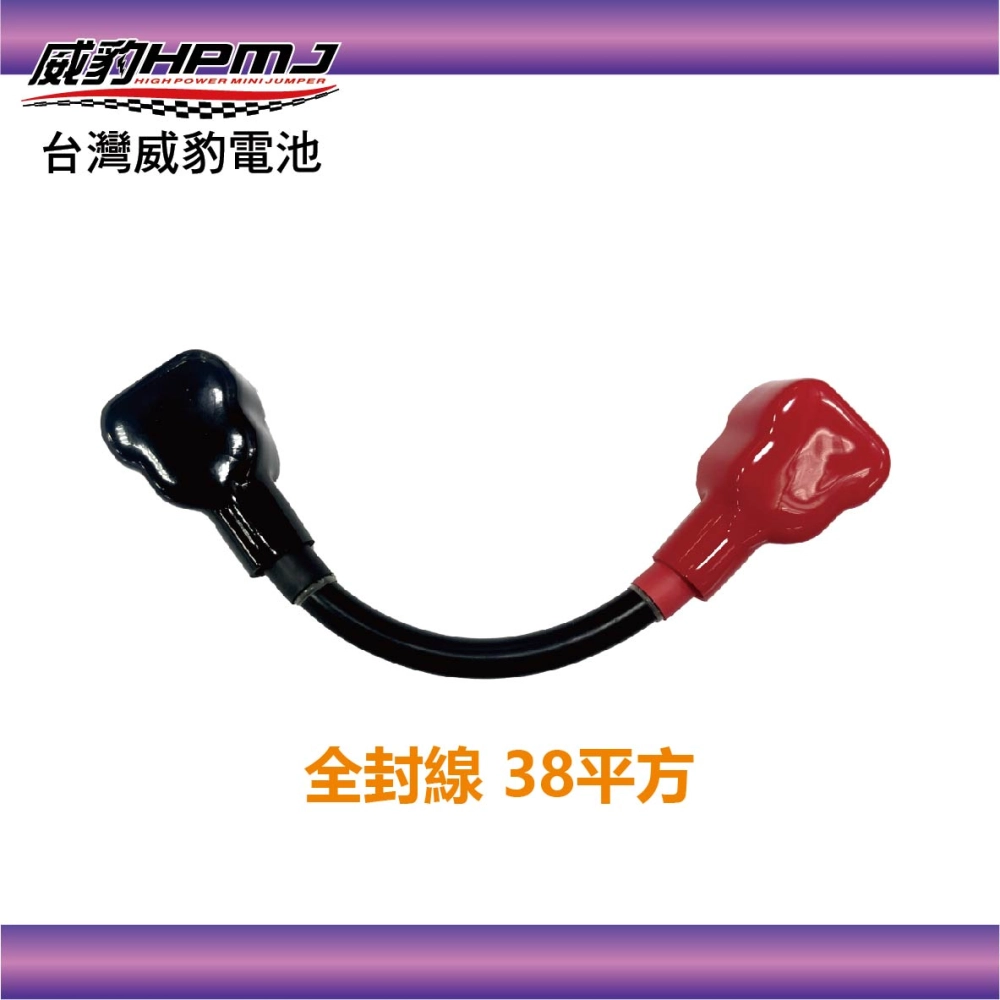 威豹 全封線 38平方 26cm