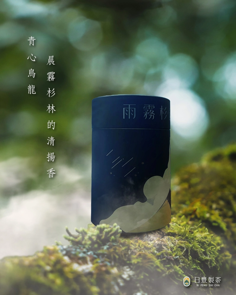 雨霧杉嵐