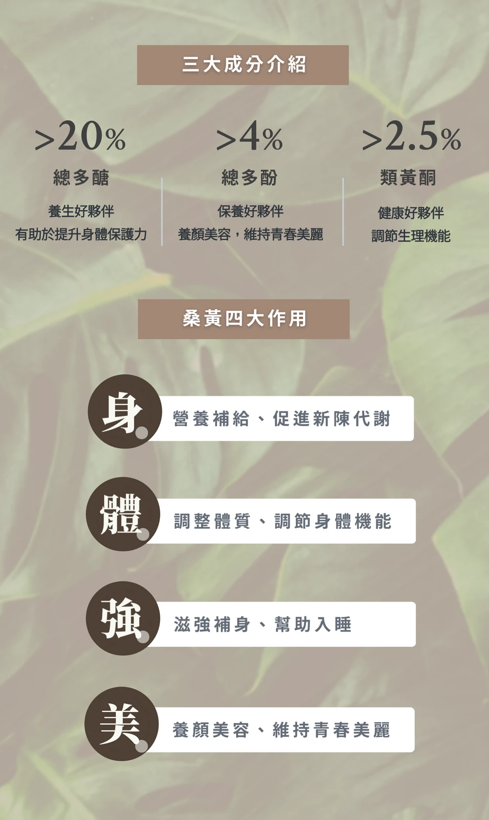 《中秋節全組合優惠》極品萃取桑黃粉末&牛樟芝子實體粉末&桑黃膠囊&牛樟芝膠囊（各一瓶）
