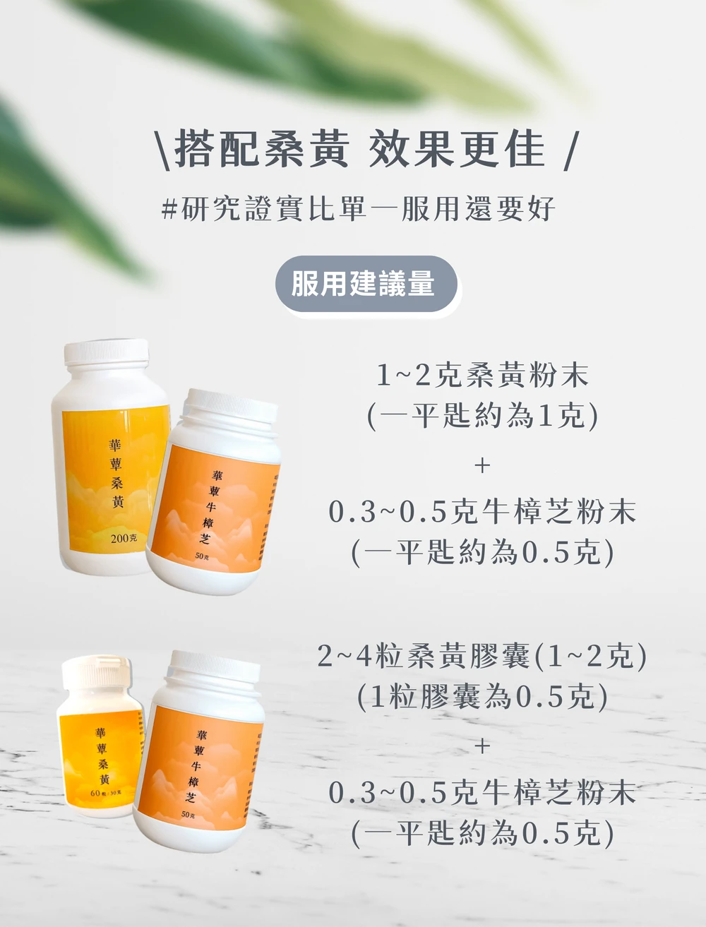 【華蕈生醫】極品牛樟芝粉末 (50g/瓶) - 中秋節優惠