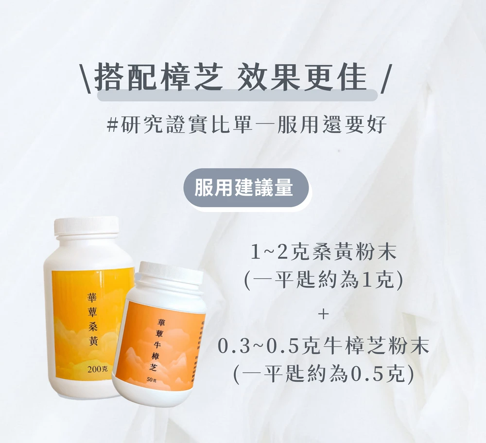 【華蕈生醫】極品萃取桑黃粉末-粉末型 (200g/瓶) - 中秋節優惠
