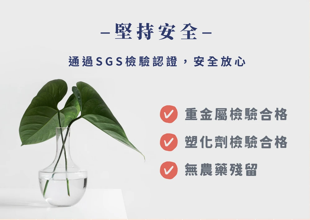 《華蕈中秋節優惠》極品牛樟芝膠囊 1瓶 + 桑黃膠囊 2瓶