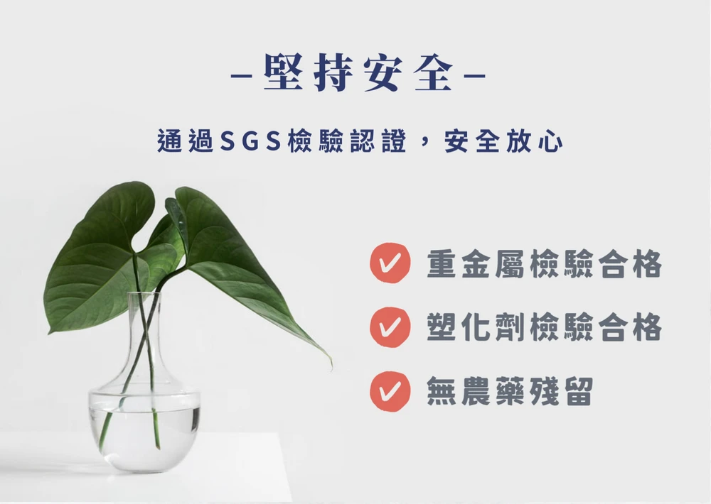 《華蕈中秋節優惠》極品萃取桑黃粉末1瓶+桑黃膠囊1瓶