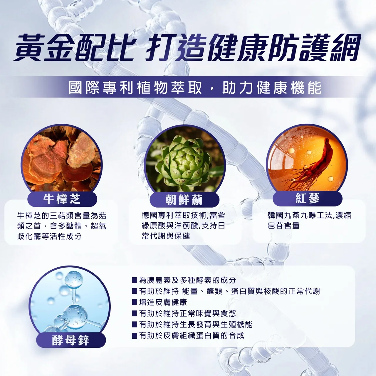 【好甘芯】牛樟芝膠囊／30粒（奶素）