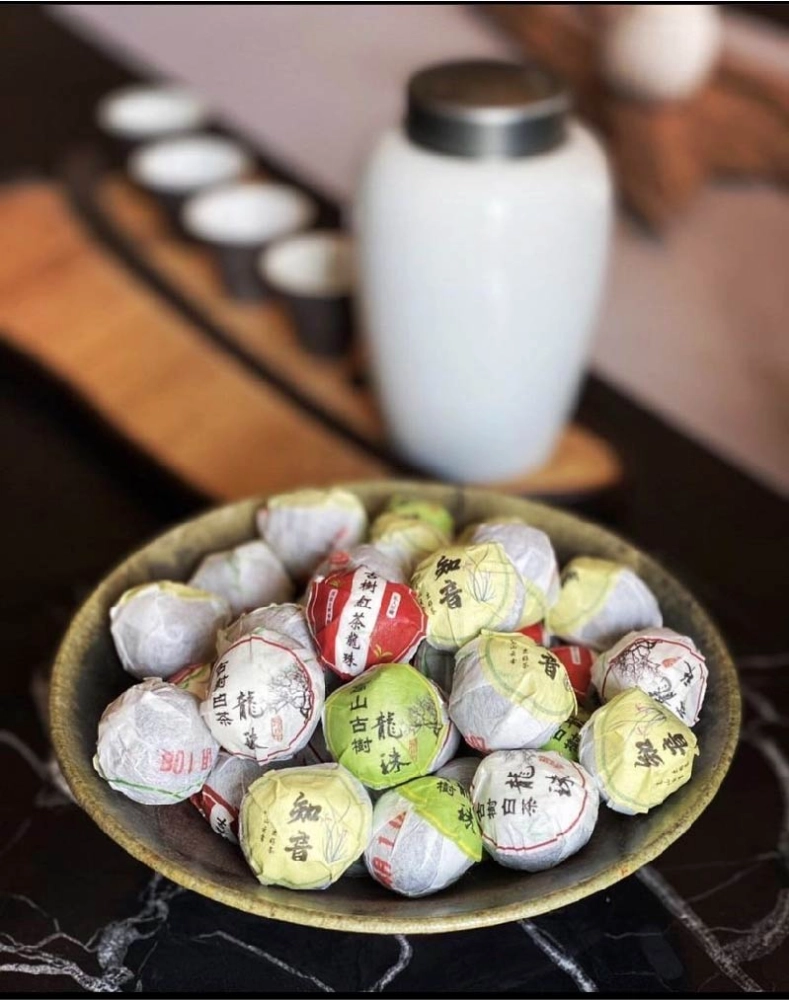 古樹龍珠