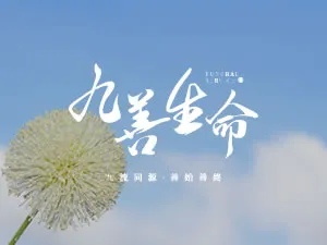 九善生命禮儀社