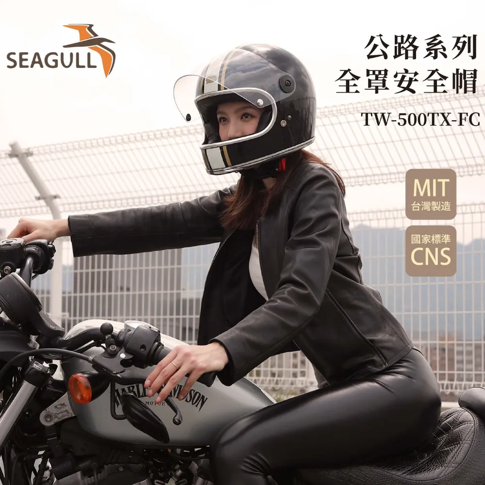 【海鷗安全帽】TW-500TX-F 公路樂高安全帽