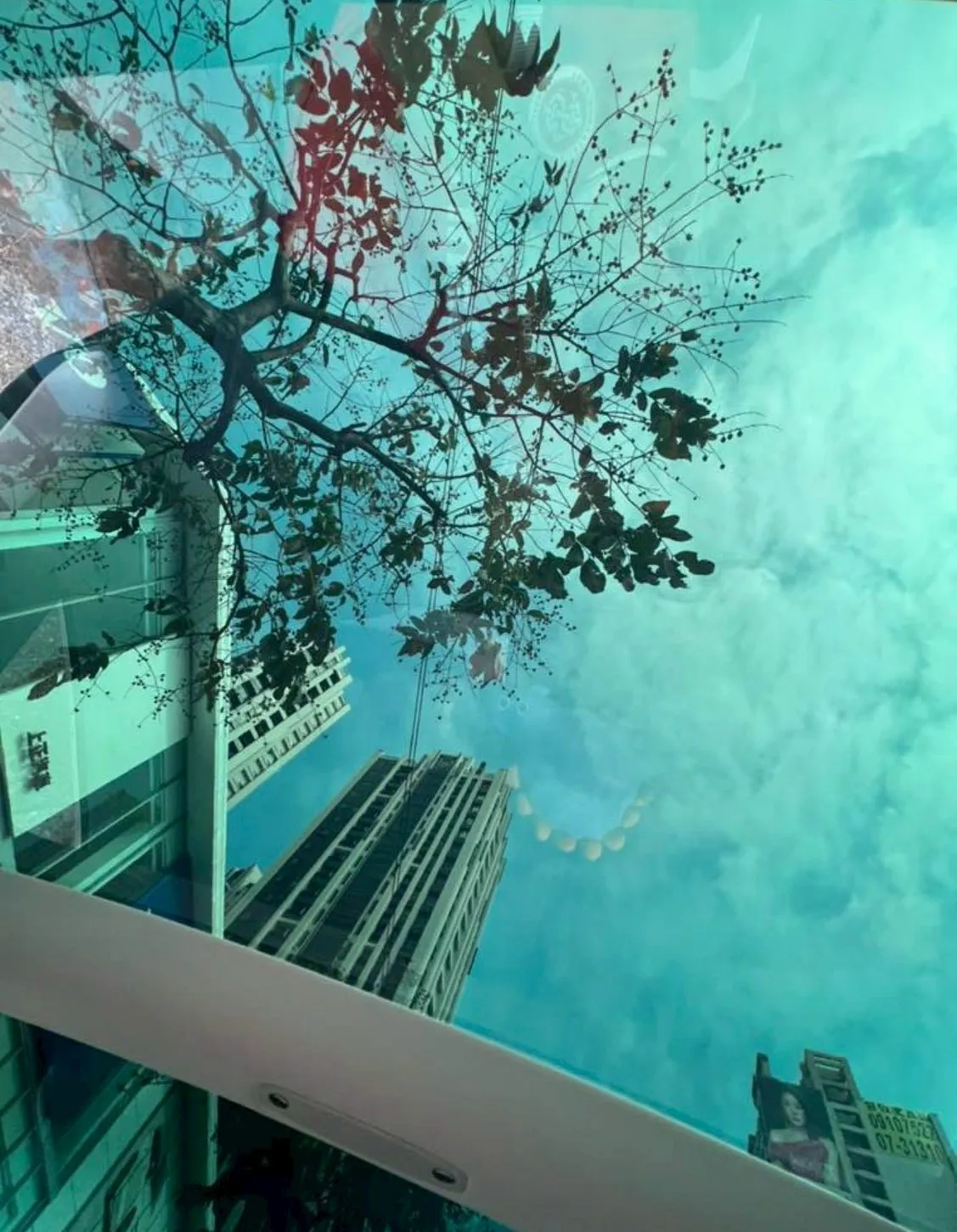 BLUE 藍光天幕膜