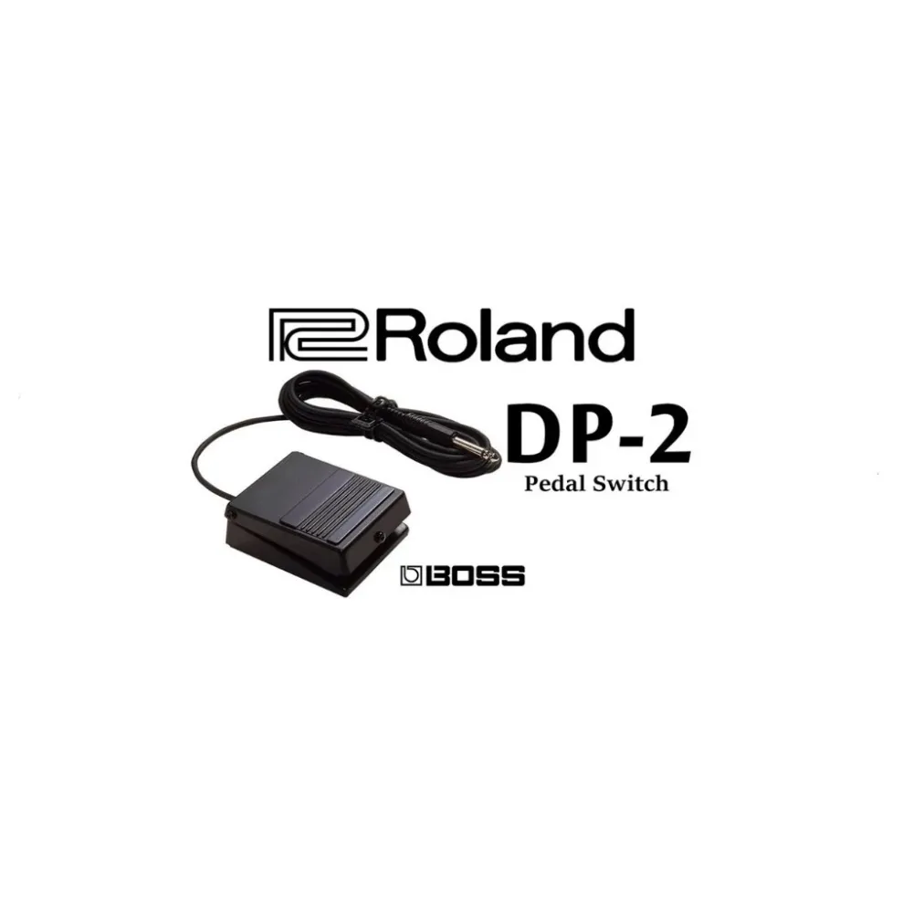 Roland 延音踏板/單踏 DP-2 適合鍵盤樂器-電子琴-電鋼琴:樂蘭/山葉專用