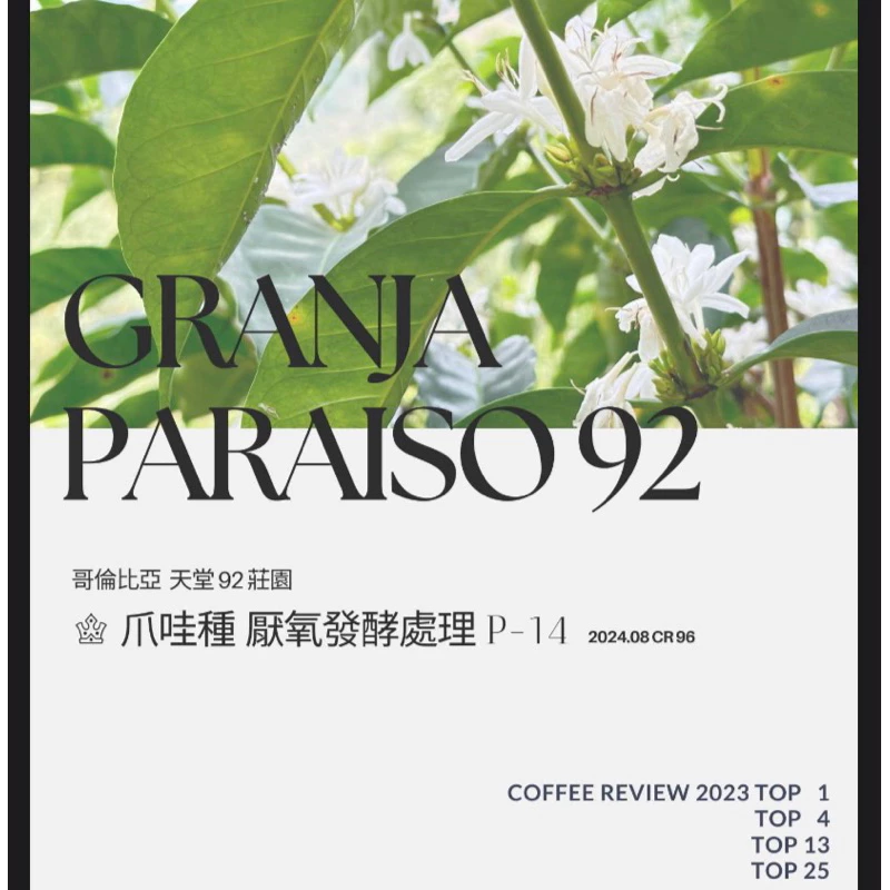 哥倫比亞 考卡 天堂 92 莊園 JAVA 爪哇 厭氧發酵處理 P-14 