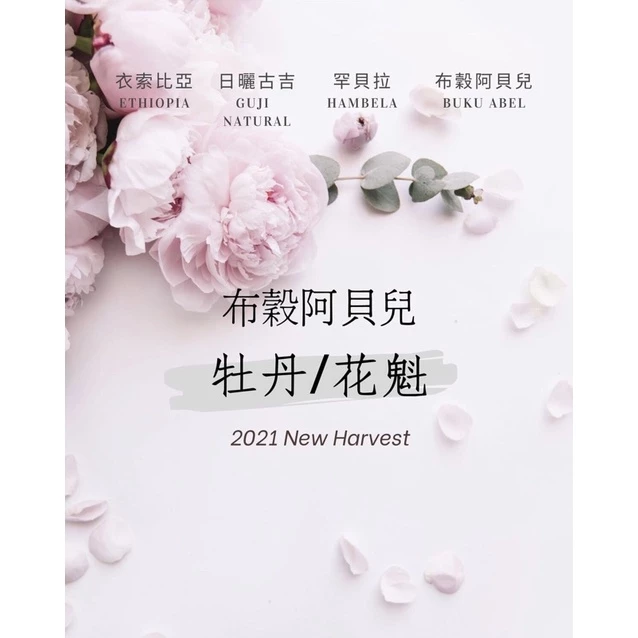 衣索比亞 日曬 古吉 罕貝拉 布穀阿貝兒 G1 牡丹/花魁 