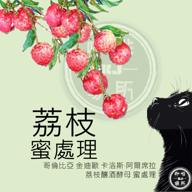 哥倫比亞 金迪歐 卡洛斯·阿爾席拉 荔枝釀酒酵母 蜜處理