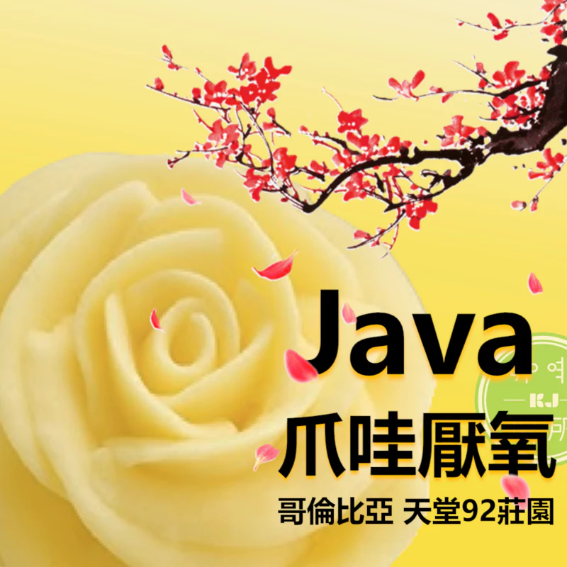 哥倫比亞 考卡 天堂 92 莊園 JAVA 爪哇 厭氧發酵處理 P-14 