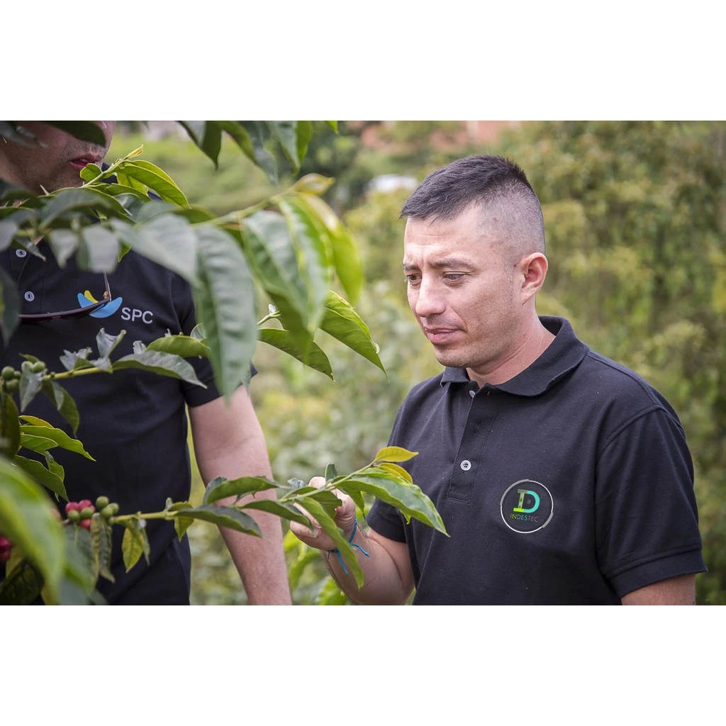 哥倫比亞 天堂莊園 雙重厭氧【豔夏花荔】蝦皮銷售冠軍 【一生一世喝過艷夏花荔·此生無憾】