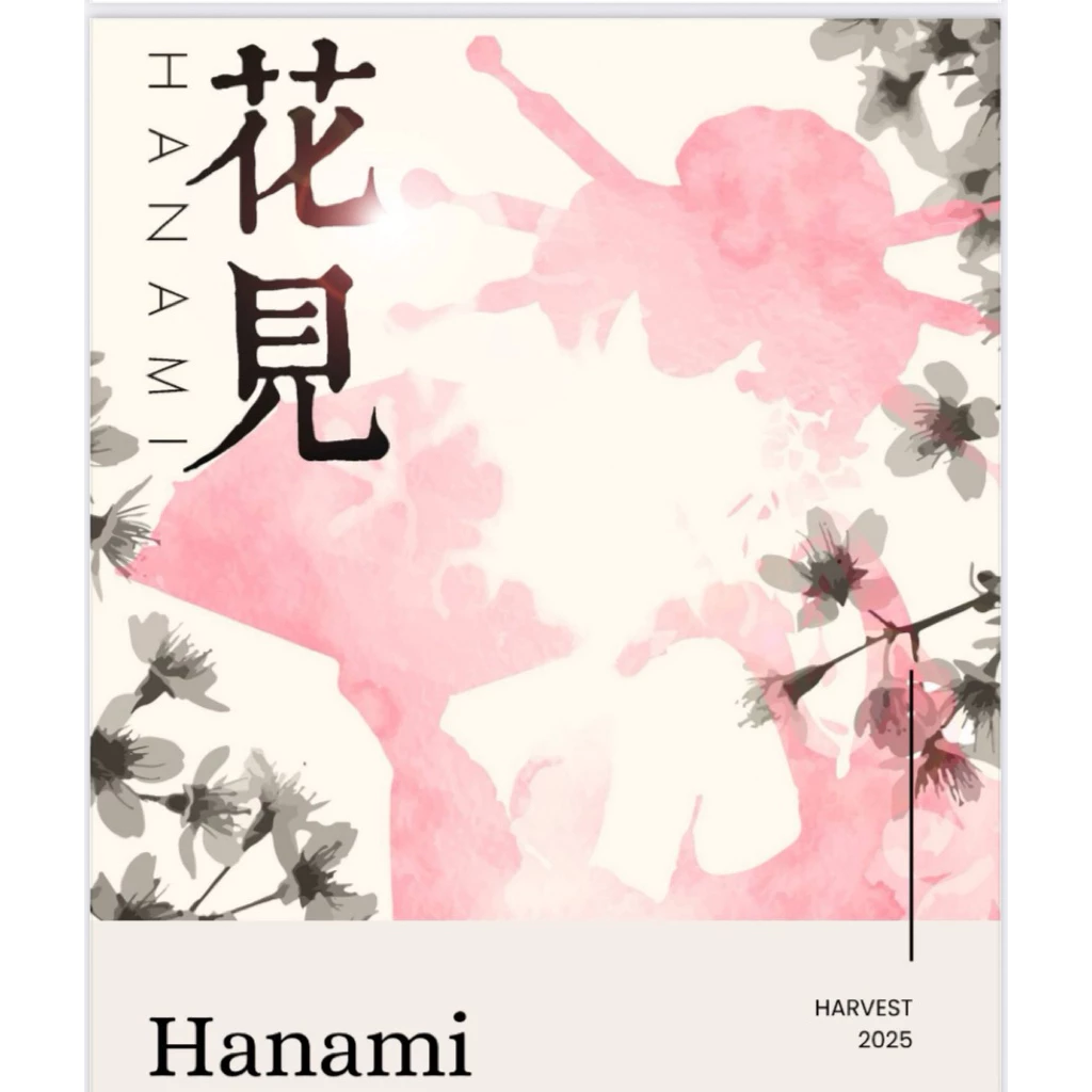 哥倫比亞 希望莊園 100%藝妓/瑰夏 【花見】水洗