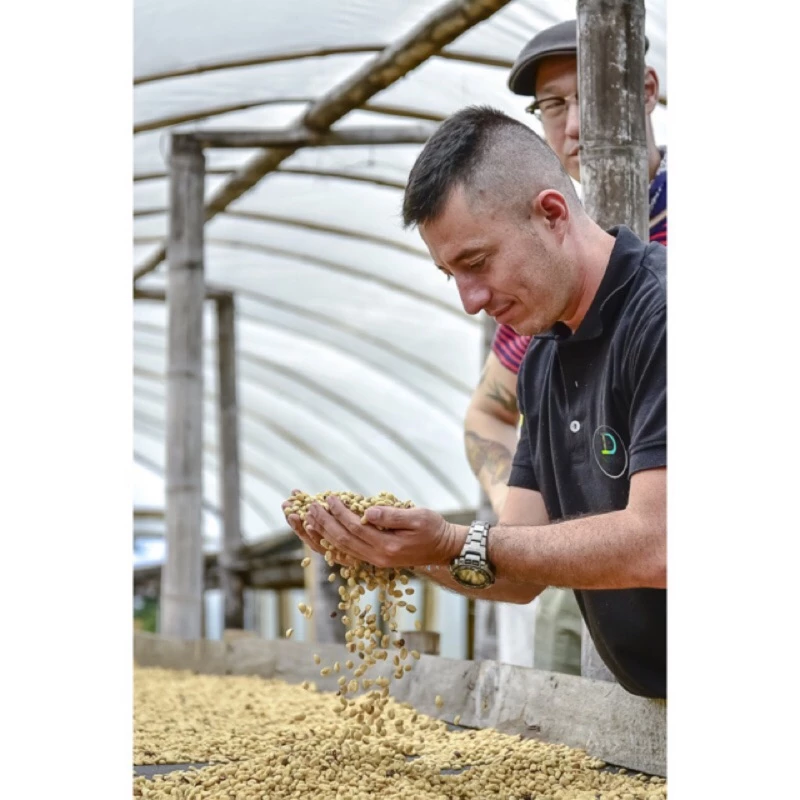 哥倫比亞 天堂莊園 雙重厭氧【豔夏花荔】蝦皮銷售冠軍 【一生一世喝過艷夏花荔·此生無憾】