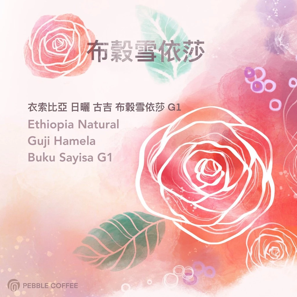 衣索比亞 日曬 古吉 布穀雪依莎G1【山茶花 非洲總冠軍】