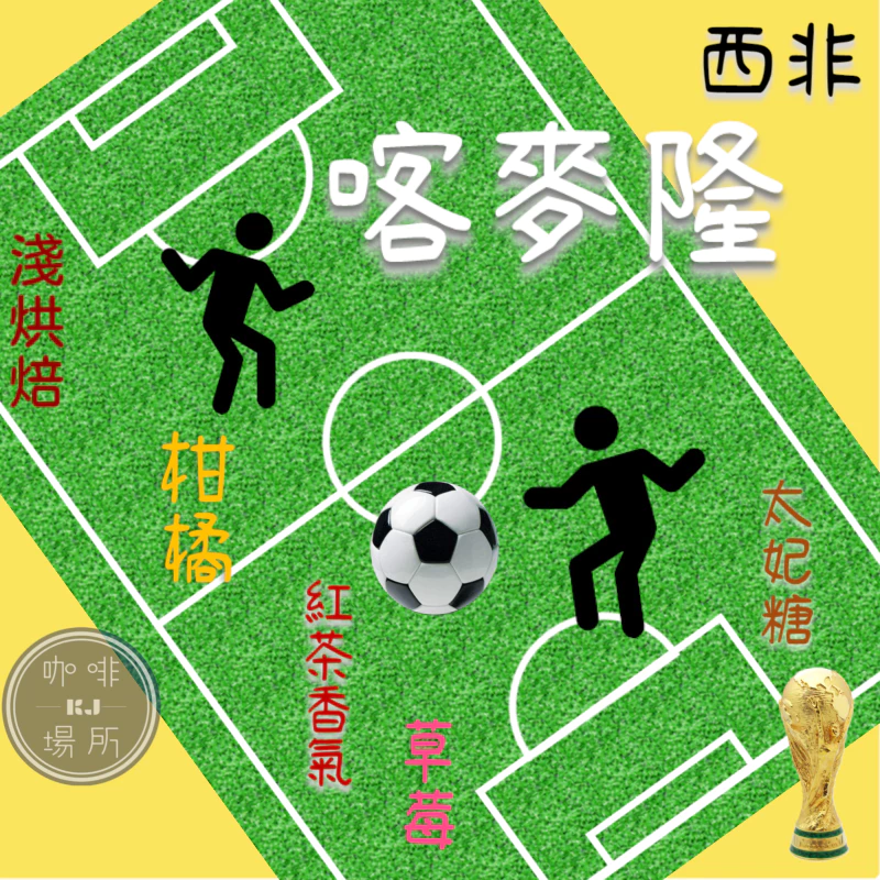 【喀麥隆．西非產區】水洗 喀麥隆 AFCA No.3《無農藥無化學肥料》