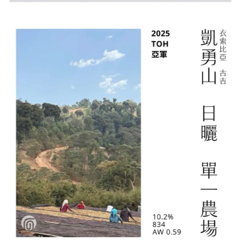 衣索比亞 古吉 凱勇山 ⽇曬 單⼀農場 G1