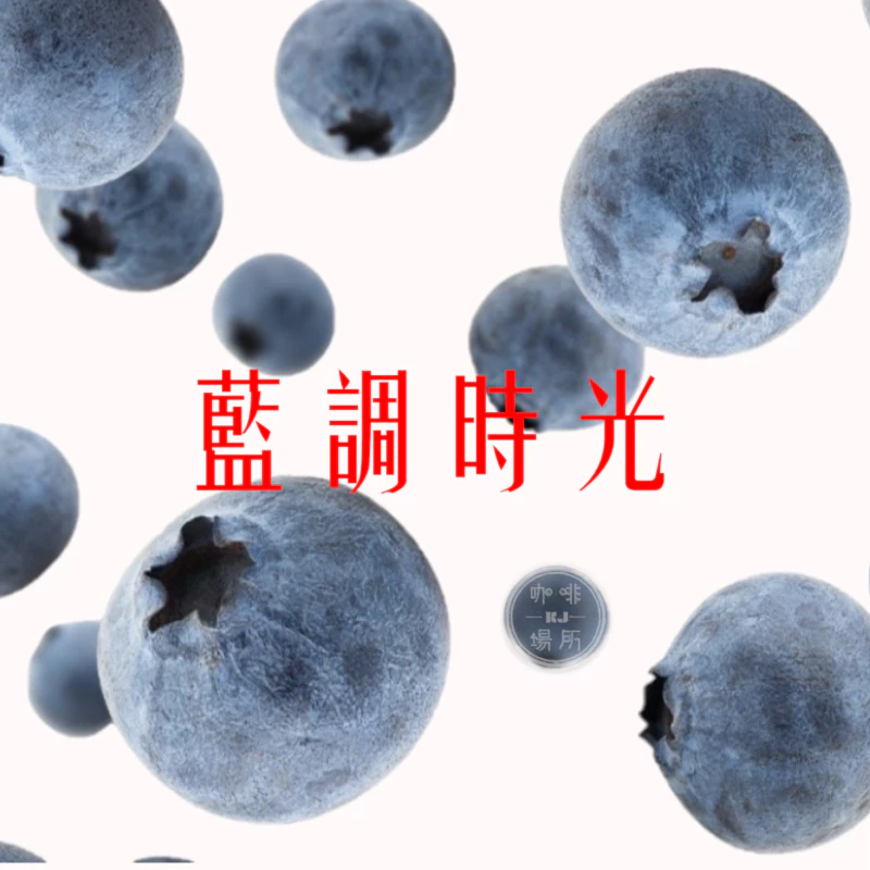 哥倫比亞 金迪歐 藍調時光 藍莓葡萄水果酵母處理法