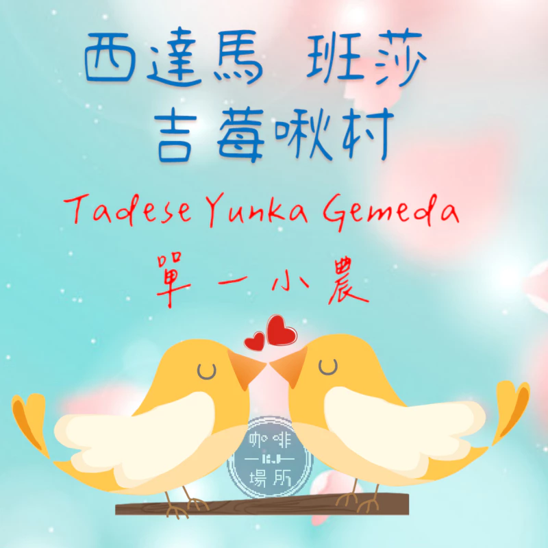 衣索比亞 日曬 西達馬 班莎 吉莓啾村 單一小農批次 G1