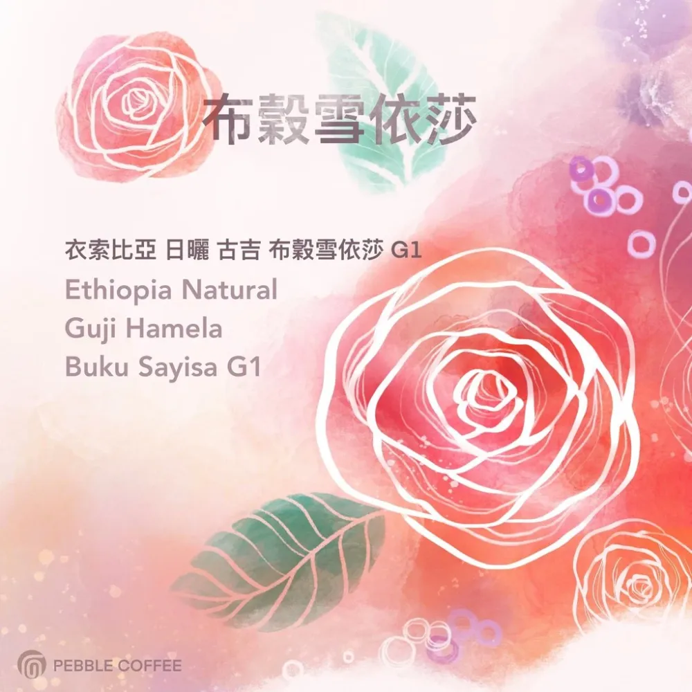 衣索比亞 日曬 古吉 布穀雪依莎G1【山茶花 非洲總冠軍】