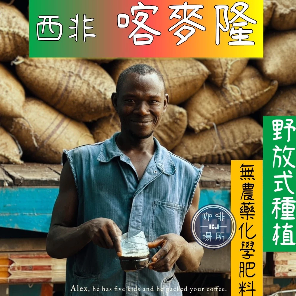 【喀麥隆．西非產區】水洗 喀麥隆 AFCA No.3《無農藥無化學肥料》