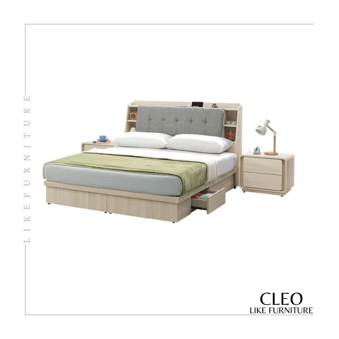 CLEO