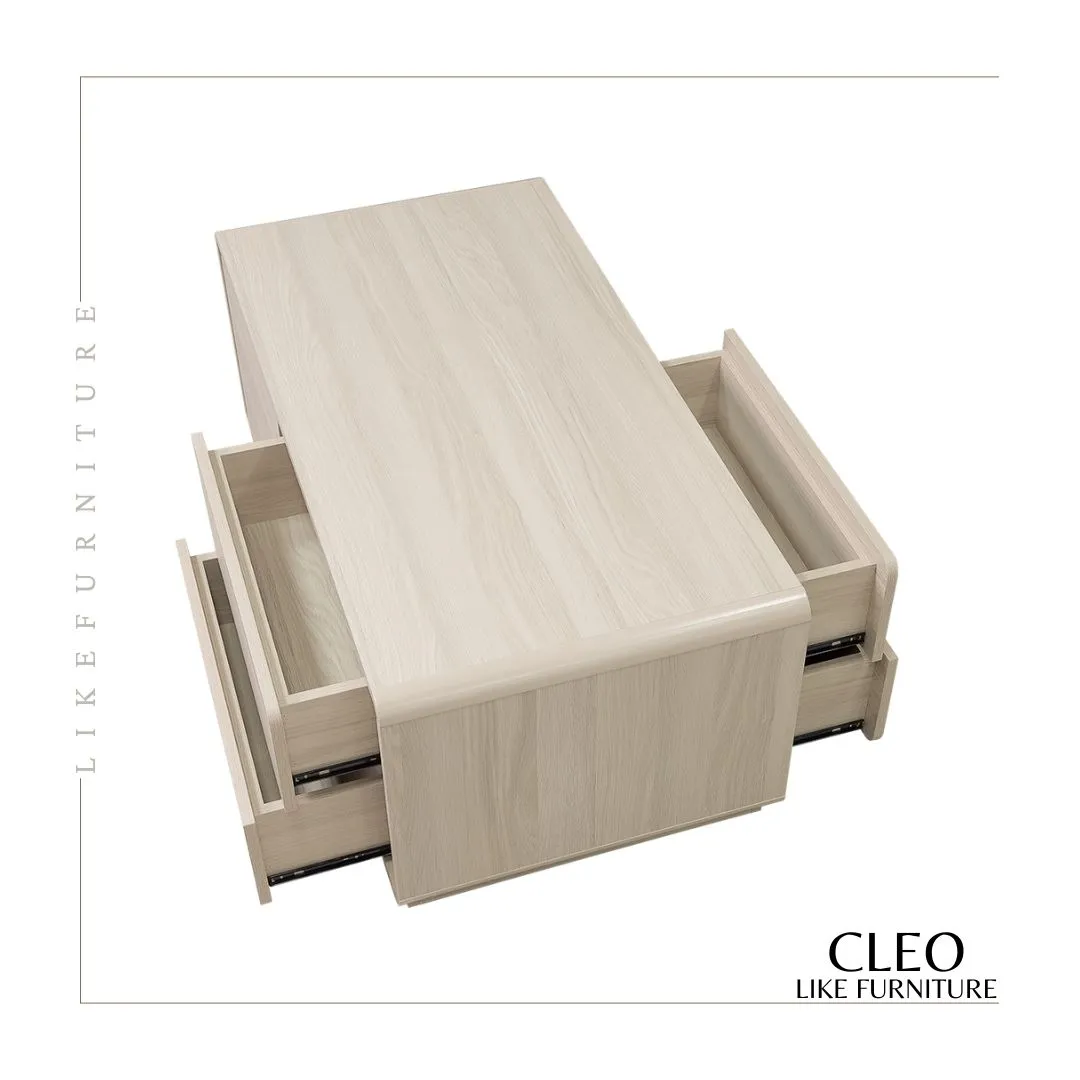 CLEO