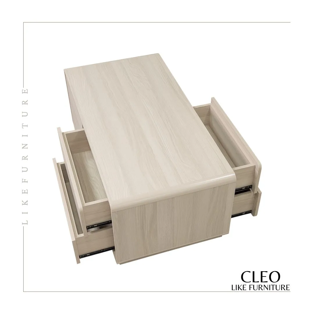 CLEO