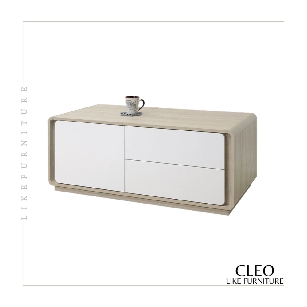 CLEO