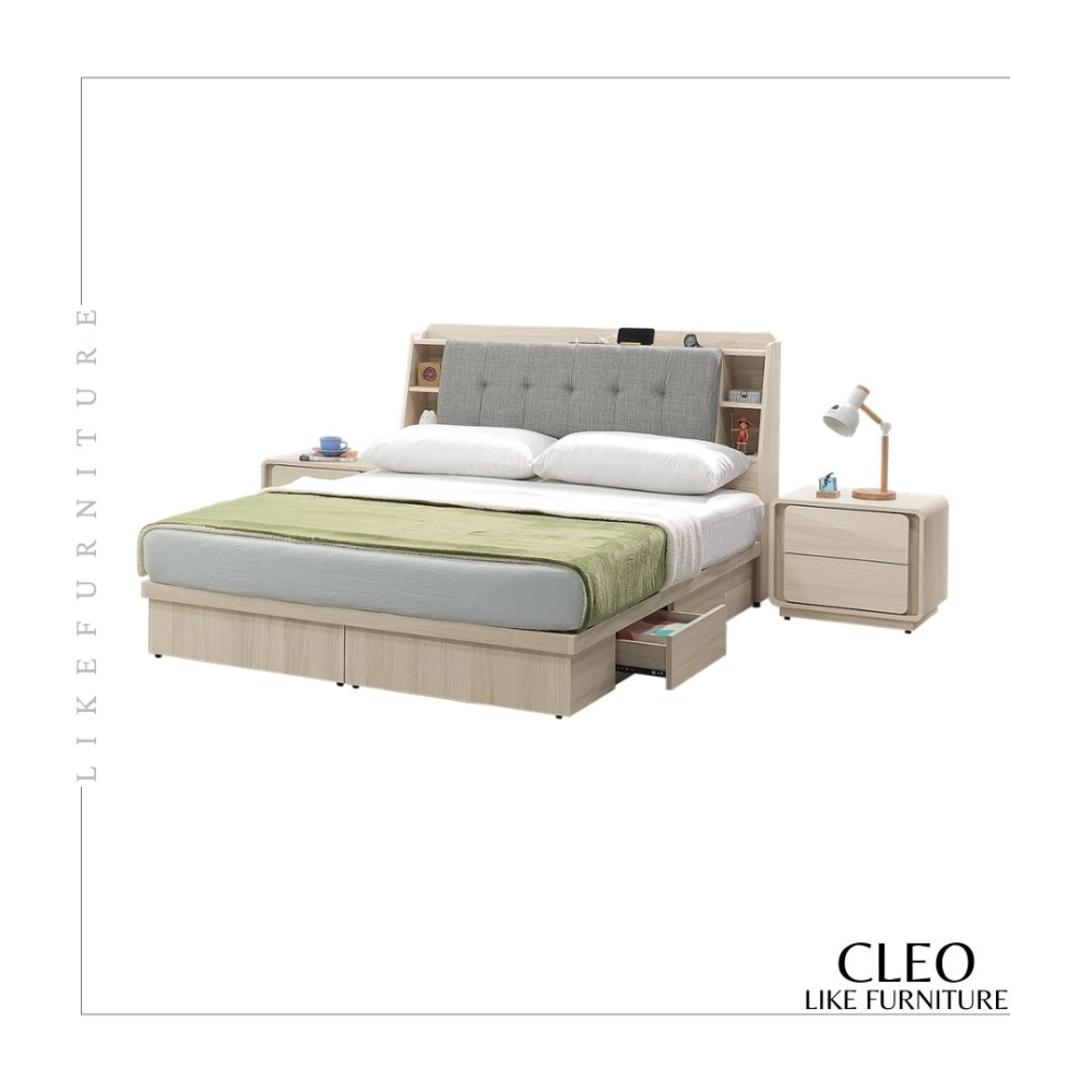 CLEO