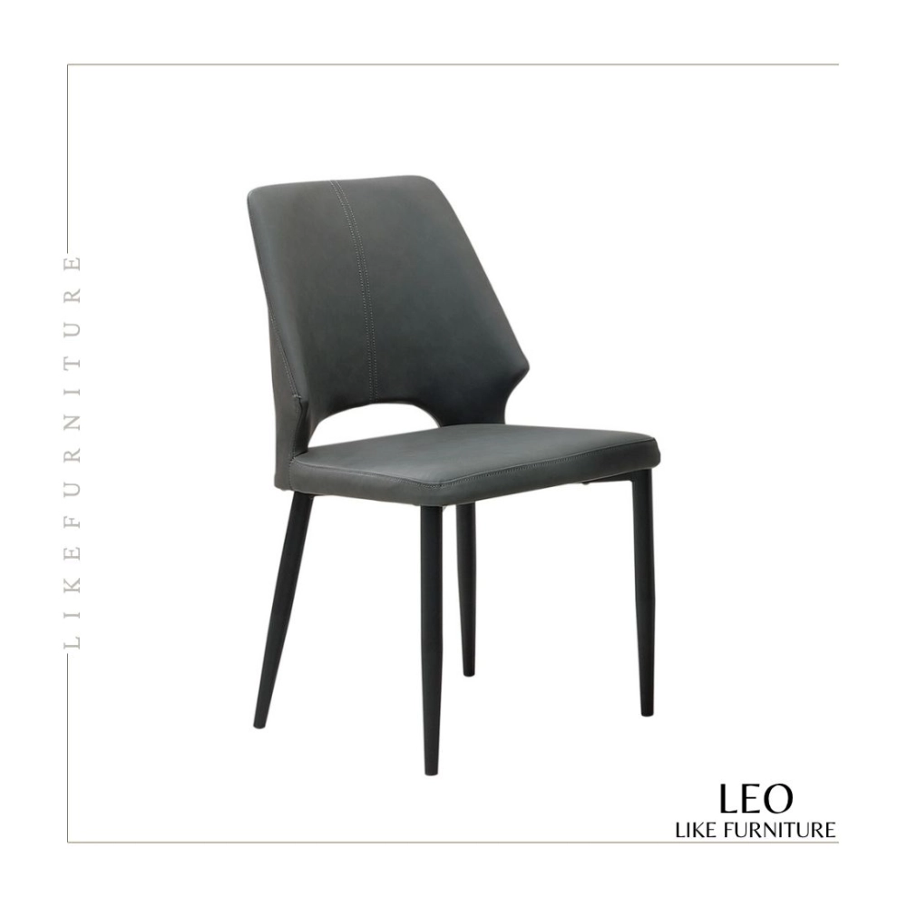 LEO