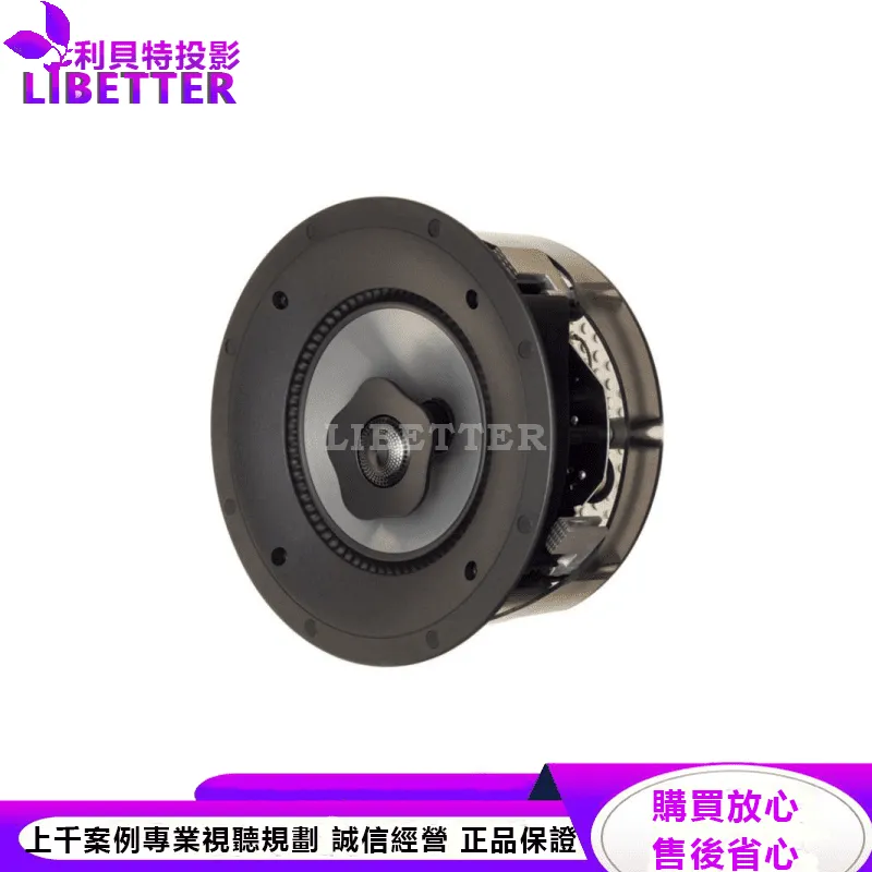 CI Pro P65-RX 嵌入式揚聲器