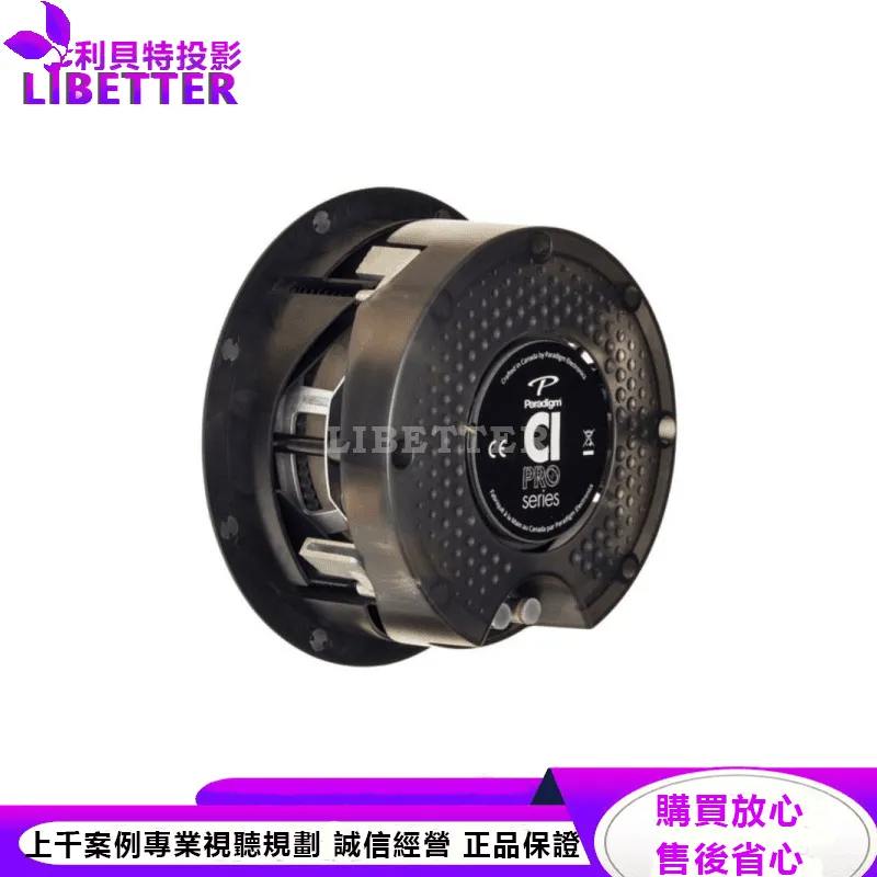 CI Pro P65-RX 嵌入式揚聲器