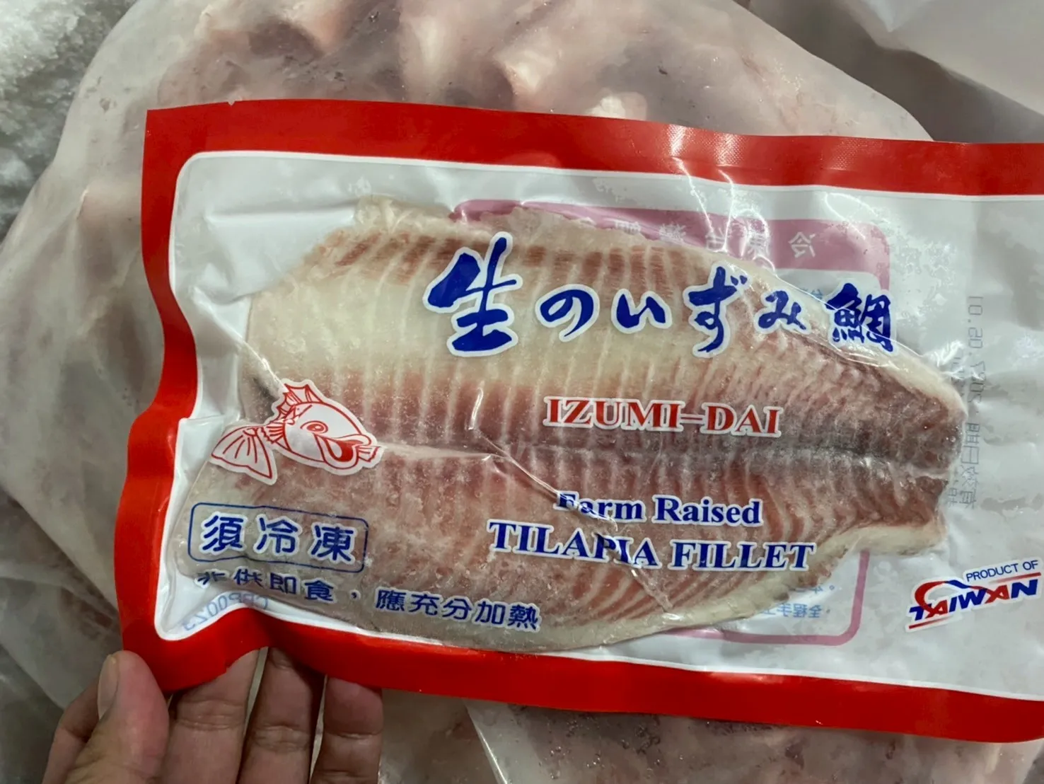 鯛魚片(2L)