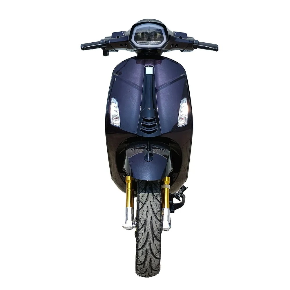 WCDO 電動車