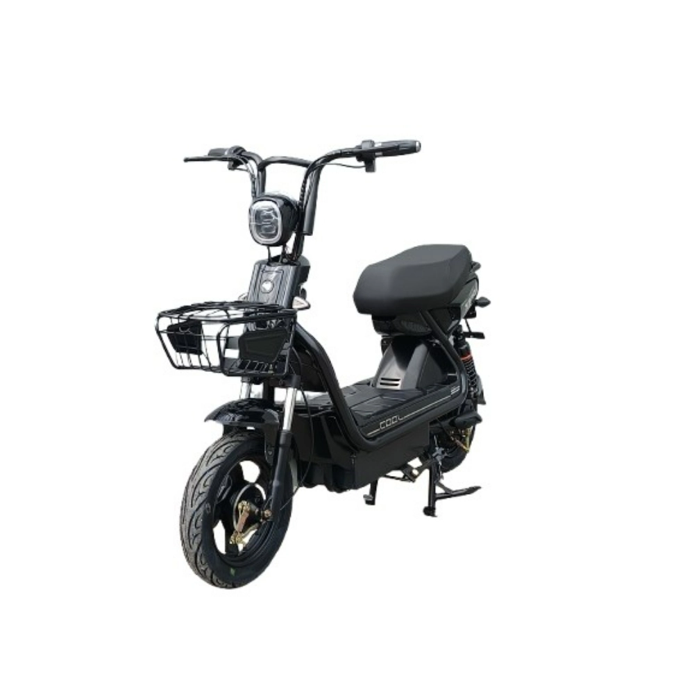 WCKU 電動車