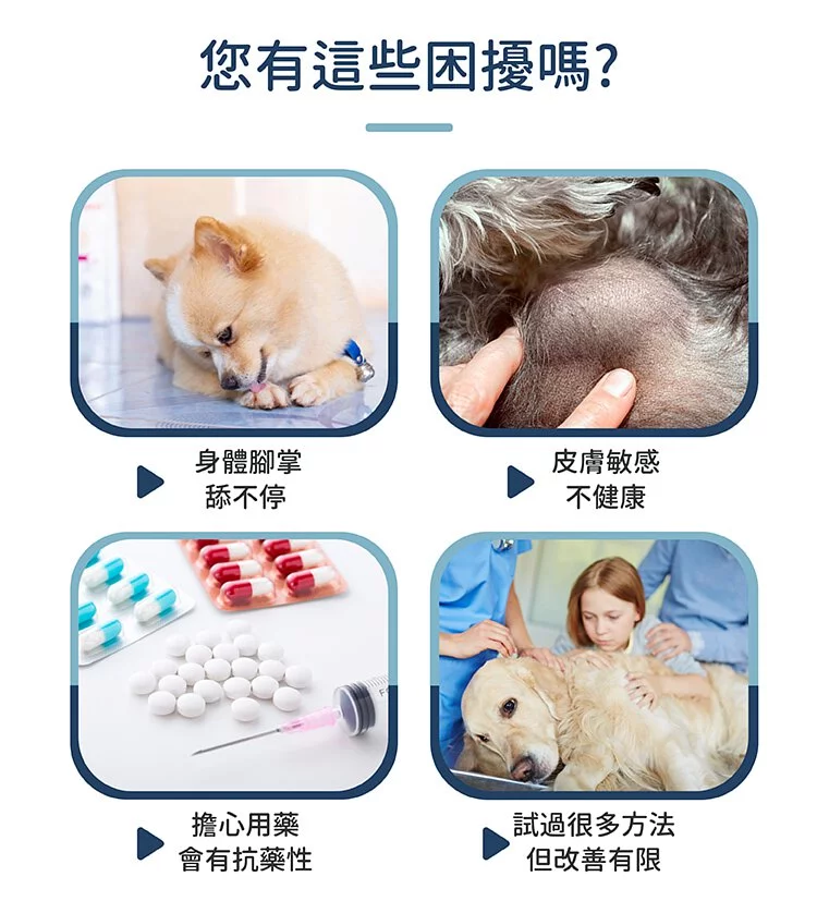 黃金盾 寵物傷口潔療噴劑 100ml