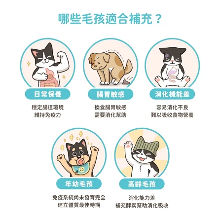 汪喵星球 腸胃益生菌 盒裝30包 2gx30包  新改版 配方升級