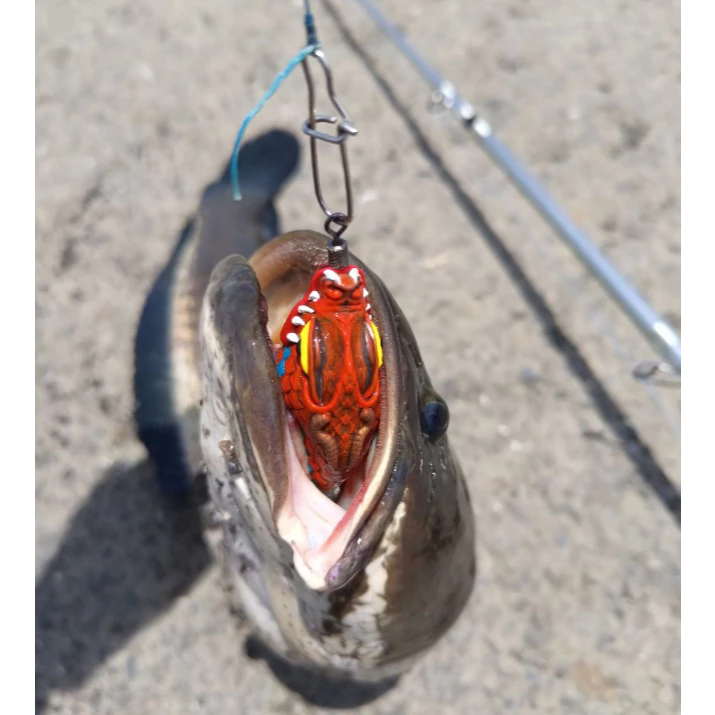 【LUREER】 ENYONG LURE 印尼手工製 BEBONG 摩納龍頭 13克 雷蛙 泰國鱧 雷強