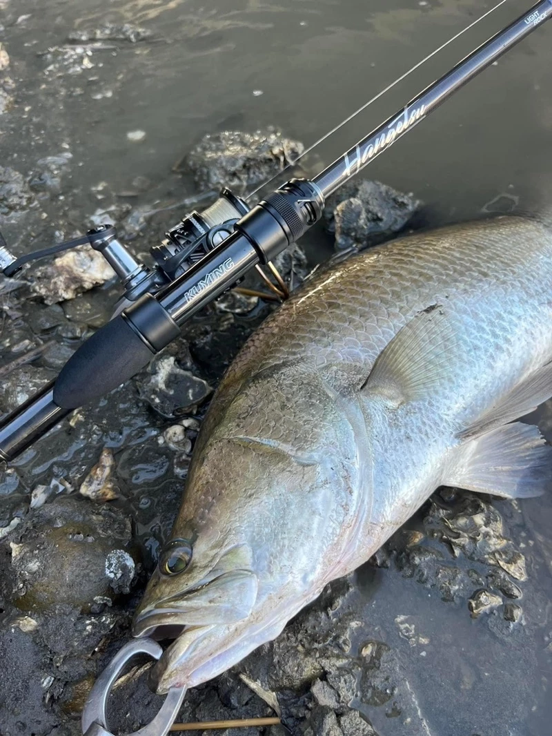 【LUREER】 酷影 KUYING 偃月 802M / 832MH 高階根魚竿 路亞竿 黑格 根魚 軟蟲 重根