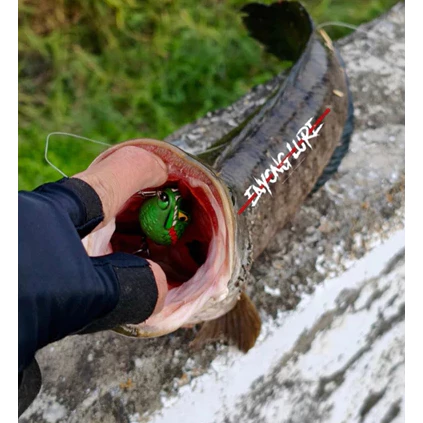 【LUREER】 ENYONG LURE 印尼手工製 BEBONG 摩納龍頭 13克 雷蛙 泰國鱧 雷強