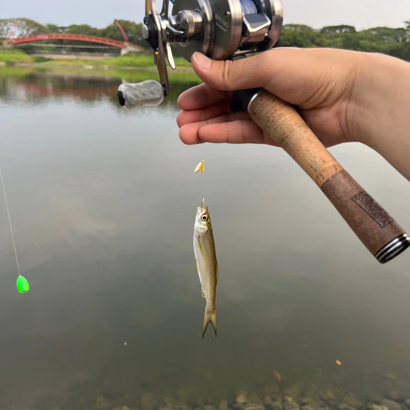 【LUREER】路亞助投器 ！滿5個贈送綁線鐵環！多克數挑選 浮水 沉水 微物 毛鉤 亮片 助投器
