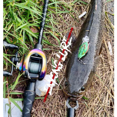 【LUREER】 ENYONG LURE 印尼手工製 BEBONG 摩納龍頭 13克 雷蛙 泰國鱧 雷強