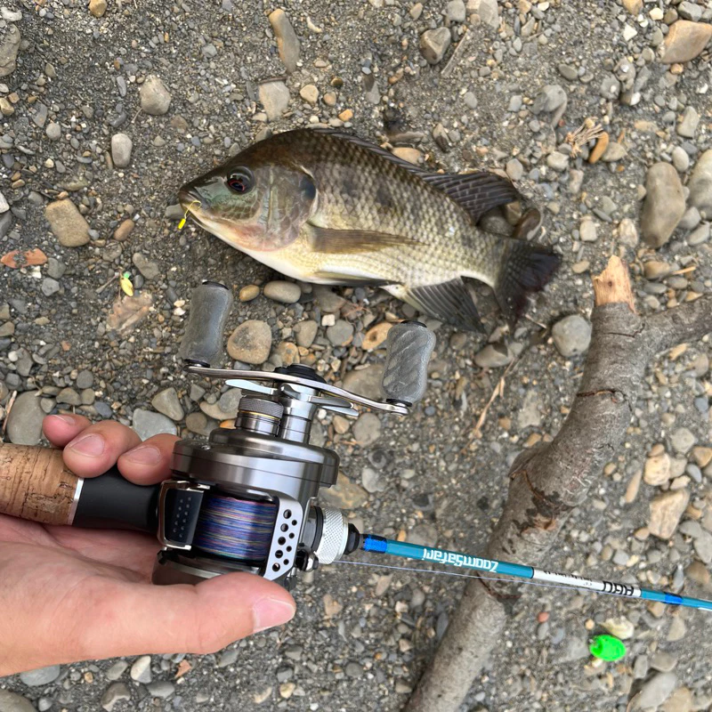 【LUREER】路亞助投器 ！滿5個贈送綁線鐵環！多克數挑選 浮水 沉水 微物 毛鉤 亮片 助投器