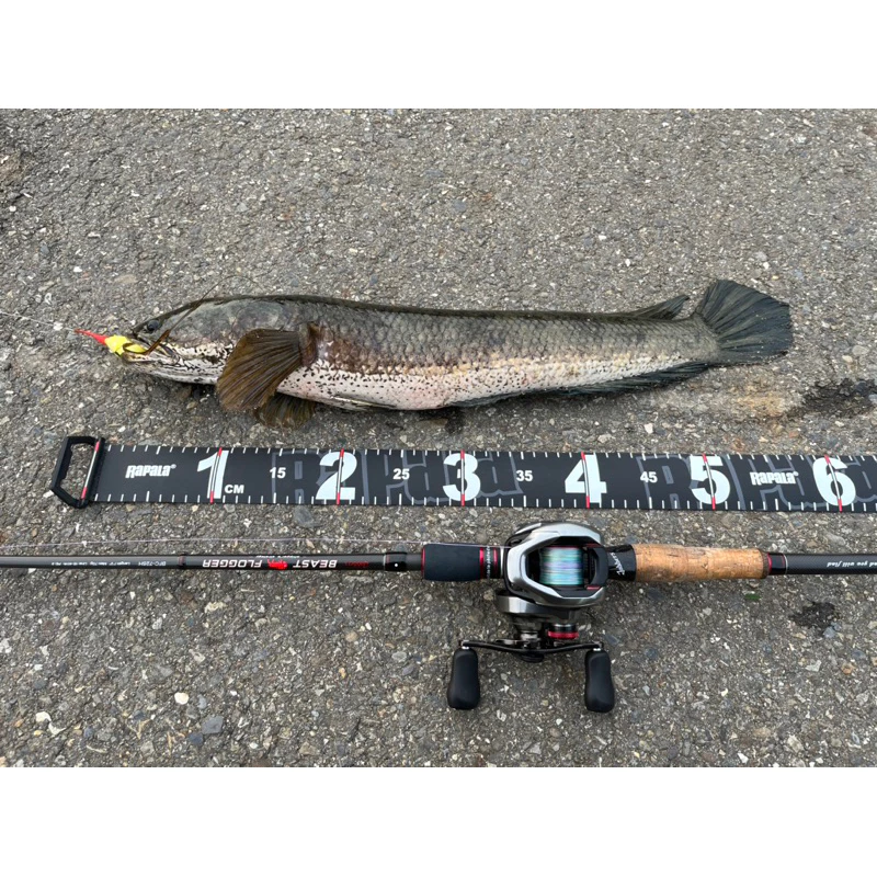 【LUREER】漁獵 大通殺 20克 改裝雷蛙 泰國鱧 溝呆 魚虎 雷強 188 雷蛙 大蛙 遠投