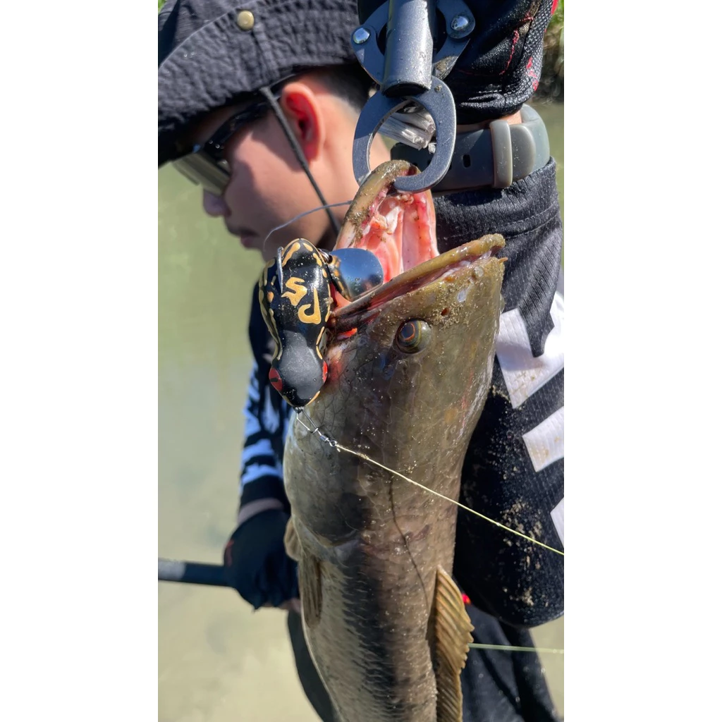 【LUREER】 UMPAN PS ?? Softfrog Bebek 印尼雷蛙 4/5/6公分 印尼製 路亞 雷強