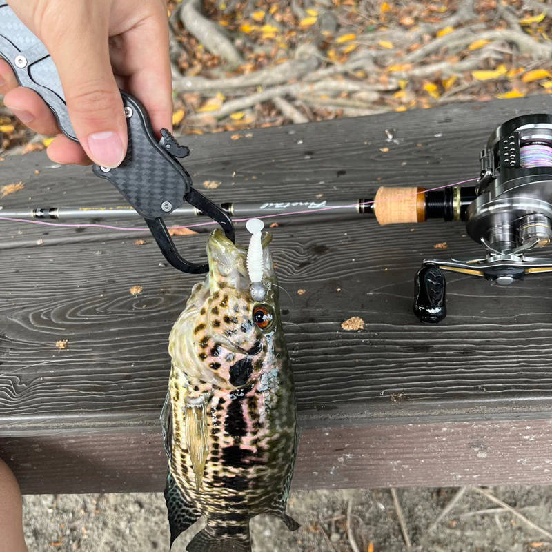 【LUREER】微物根魚 小T尾 軟蟲 3.5公分 20入 微物 根釣 溪流 鉛頭鉤 路亞 軟蟲 珍珠石斑 根魚